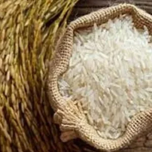 Bahurupi Rice