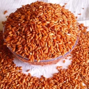 Poongar Rice
